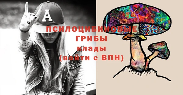 первитин Белокуриха