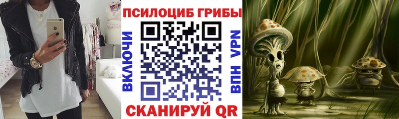 как найти   Бузулук  Псилоцибиновые грибы мухоморы 
