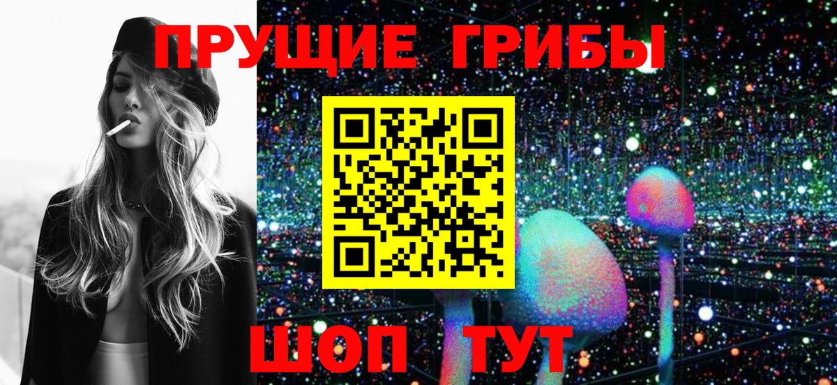 Псилоцибиновые грибы Psilocybine cubensis  Вход с VPN  Бузулук  Псилоцибиновые грибы прущие грибы 