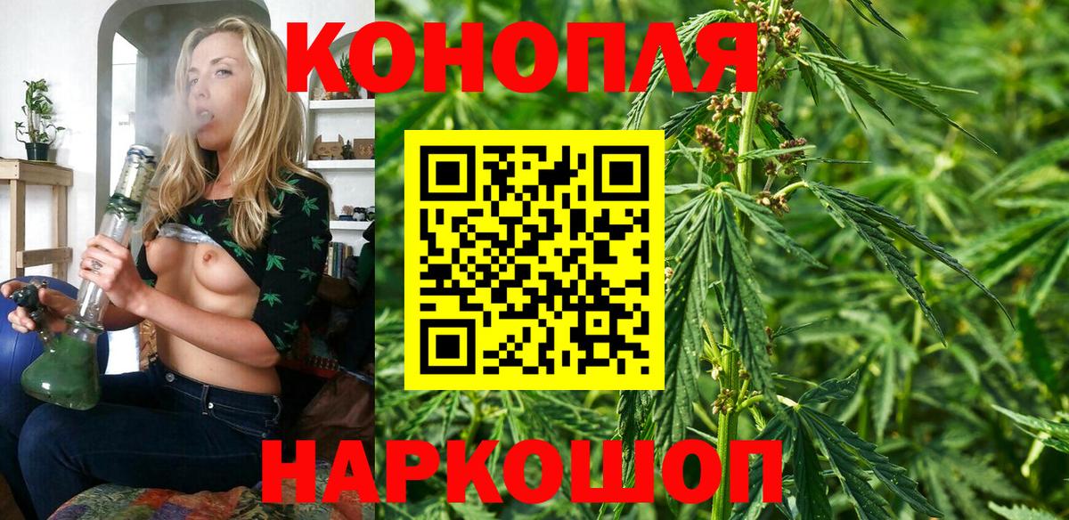 Конопля сатива Бузулук